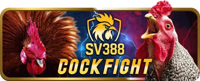 Cá cược thể thao tại B29 Code với các môn bóng đá và eSports