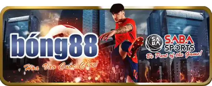 Hướng dẫn cá cược thể thao b29 code