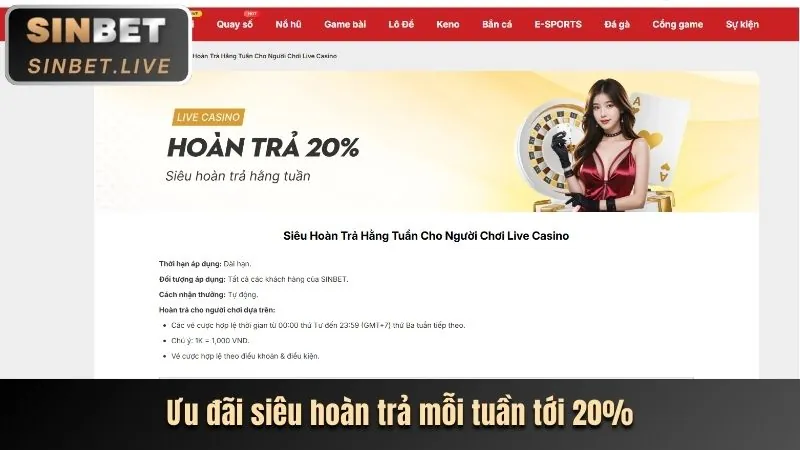Hoàn trả hàng tuần/tháng B29 Code
